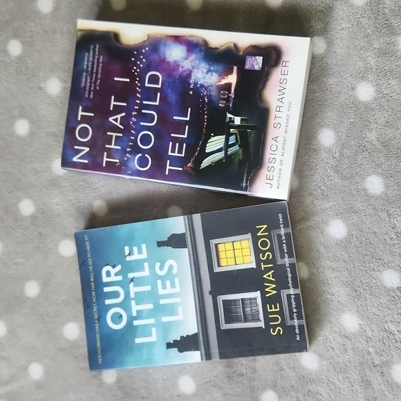 Two Indigo Thriller Books - Not That I Could Tell &  Our Little Lies - Picture 1 of 9